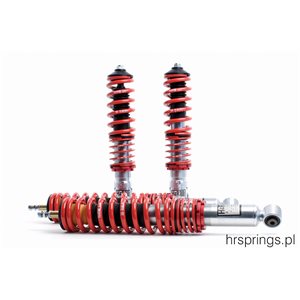 RSS-48-525-1/1 Gwintowane Monotube Seat Leon (1M) 99 2WD 40-70 mm 30-60 mm
