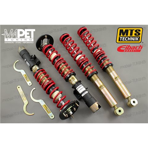 BMW E24 - gwint MTS-technik + camber Plates Black Gold Edition