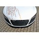 Przedni Splitter / dokładka ABS - Audi R8