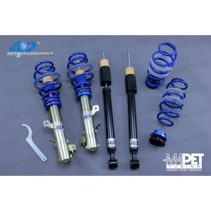 Gwint AP Ford Fiesta 10/2008-