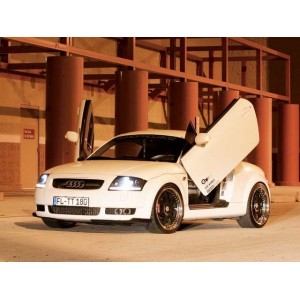 LSD Lambo Style Doors Audi TT 8N