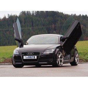 LSD Lambo Style Doors Audi TT 8J