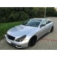 Dokładki Progów - Mercedes CLS C219/W219 2004-2010