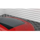 Spoiler CAP Lotka Tył - Audi TT 8j