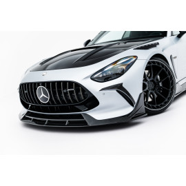 CARBON spoiler - Mercedes-AMG GT 63 C192
