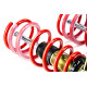 BMW G21 / G23 / G26 Gwint MTS Technik BLACK GOLD