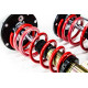 BMW F40 / F44 / F45 - Zawieszenie Gwintowane MTS Technik BLACK GOLD