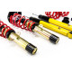 BMW F40 / F44 / F45 - Zawieszenie Gwintowane MTS Technik BLACK GOLD
