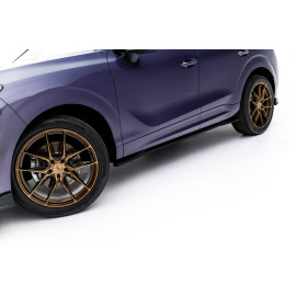 Dokładki Progów Cupra Terramar Mk1