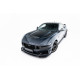 Splitter / Dokładka przód V.2 - Ford Mustang Mk7 Black Horse