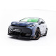 Cupra Tavascan Mk1