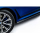 CARBON Dokładki Progów - BMW X7