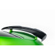 Spoiler CAP lotka tył na spoiler - Mercedes GT R C190 Facelift