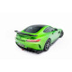 Spoiler CAP - Mercedes GT R C190 Facelift