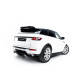 Dyfuzor Tylnego Zderzaka - Range Rover Evoque Mk1
