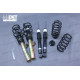 Gwint DTSline VW Passat R36 Variant 4motion / 4WD