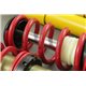 BMW E30 - gwint MTS-technik + Camber Plates Black Gold Edition (51mm)