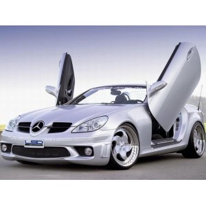 LSD Lambo Style Doors Mercedes SLK 04-