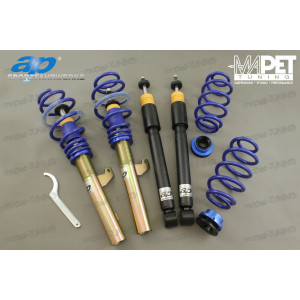 Gwint AP - Seat Altea / Toledo 5P 06/2004- 35-65 mm/35-65 mm -1170 KG / 50mm