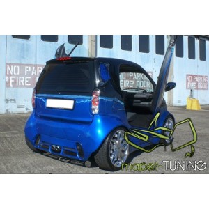 LSD Lambo Style Doors Smart Fortwo