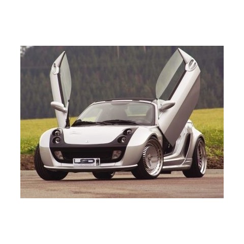 LSD Lambo Style Doors Smart Fortwo Roadster / Coupe - MAPET-TUNING